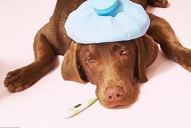 2021年美国玩家玩《原神》氪金4.06亿美元